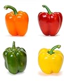 100 Piezas Rojo Verde Amarillo Naranja Mixto Semillas De Pimiento Morrón Para Plantar Al Aire Libre Cree Un Espléndido Jardín De Verduras Brillantes Amado Por Todos