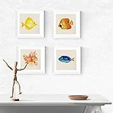 Nacnic PACK de láminas para enmarcar CUATRO PECES. Posters cuadrados con imágenes de peces. Decoración de hogar. Láminas para enmarcar. Papel 250 gramos